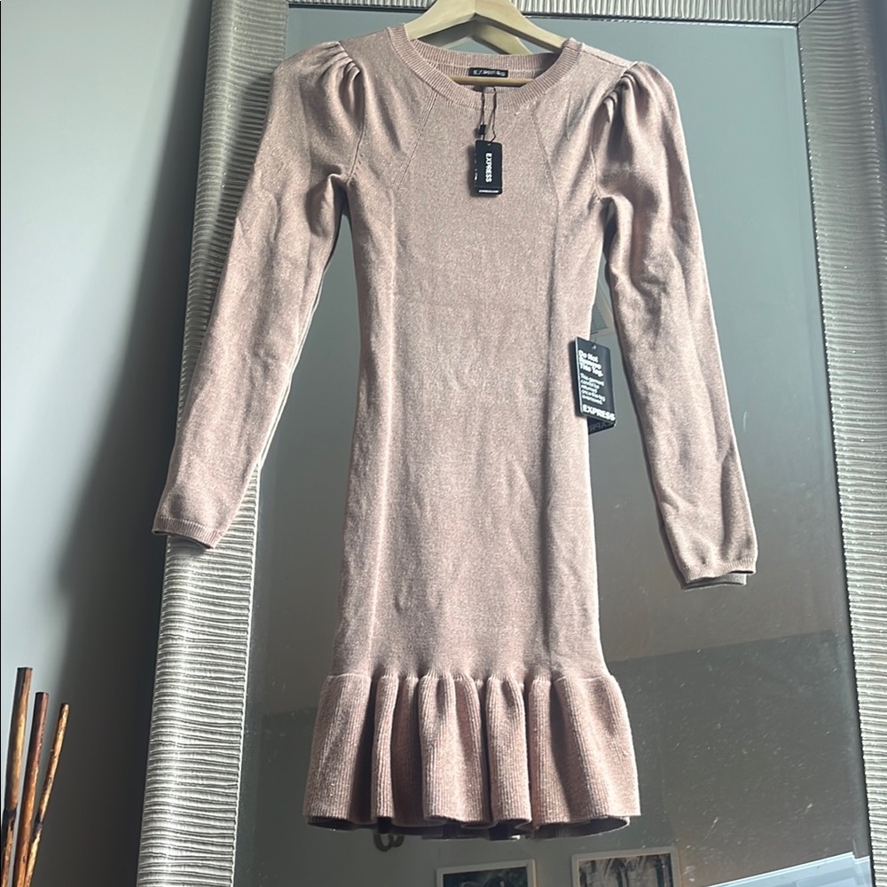 Express Shimmering Silver Sweater